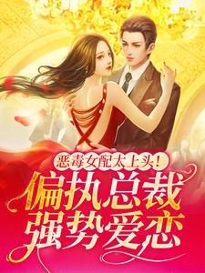 《程安岚陆琛贺文耀陈青青》小说
