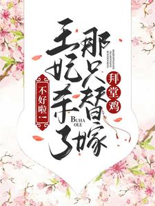 《不好啦！王妃杀了那只替嫁拜堂鸡》林燕儿周明武周浩天林镇天