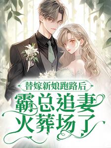 《盛聿商渺宋音音》小说