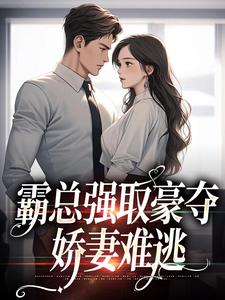 《纪晏北傅南溪沈栖傅景渊》小说