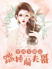 《沈嘉文沈大头凌母凌父》小说