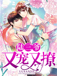 《陆三爷又宠又撩》顾绾绾陆骁顾婉儿顾家