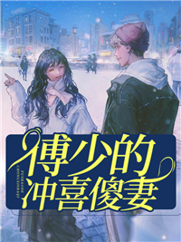 《夏清浅叶志强安伯周曼莉》小说