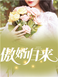 《傲婿归来》陈阳林婉秋陈天雄许南天