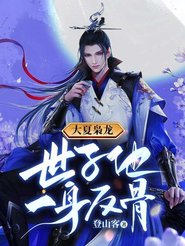 《沈辰沈丹锋》小说