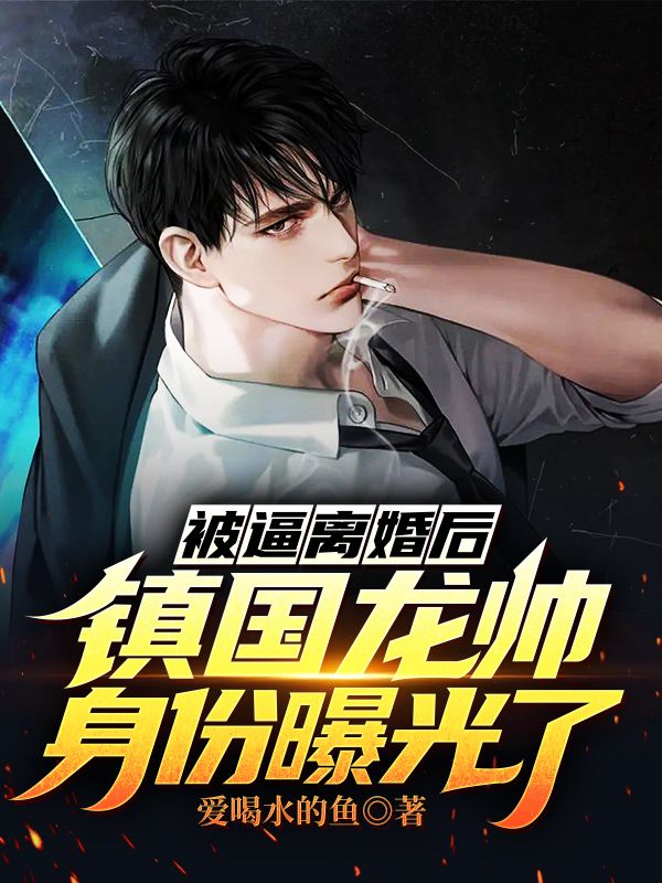 《张扬苏芊陈老六》小说