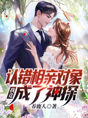 《张阳秦婉清》小说