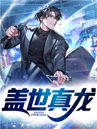 《秦四海秦昊徐凤英史杰》小说