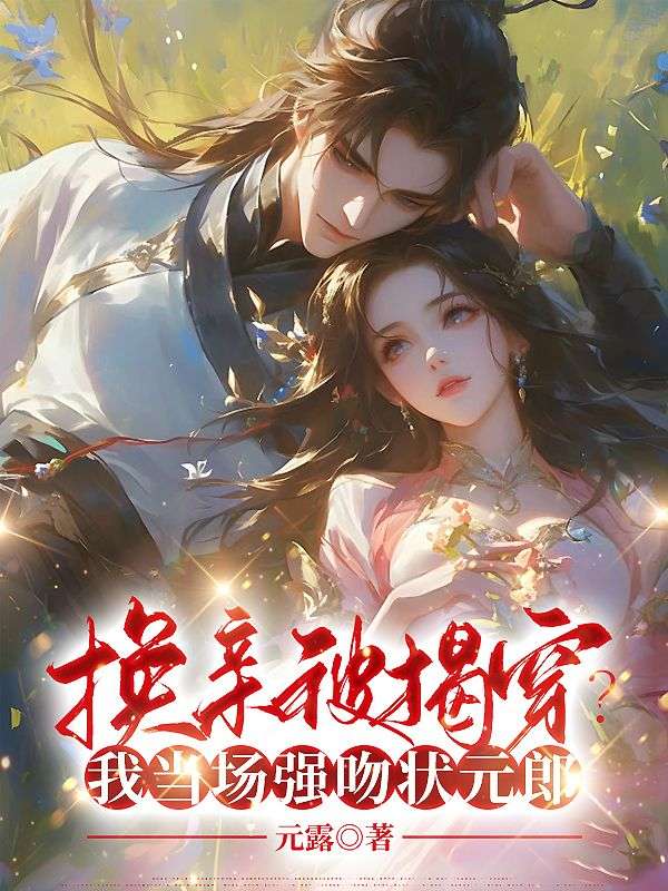 《沈南葵沈平婉贺氏顾逸川》小说
